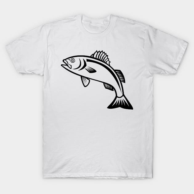 European Seabass Sea Bass or Dicentrarchus Labrax Jumping Up Mascot Black and White T-Shirt by patrimonio